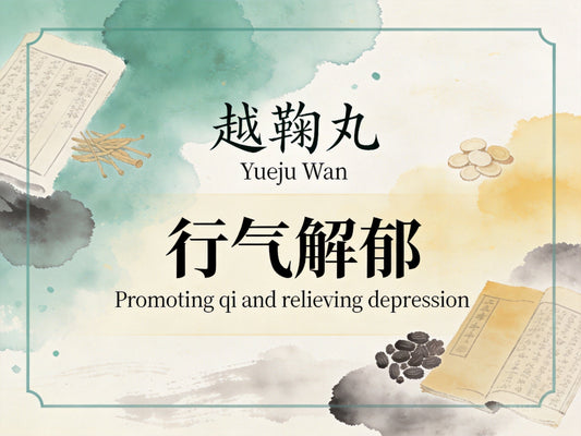 越鞠丸：行气解郁调畅气机，改善功能性消化不良与焦虑相关胃肠不适