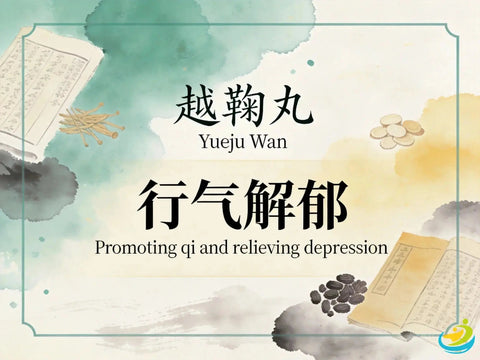 Yue Ju Wan: Classic TCM Formula for the Six Stagnations, Chest Oppression, Acid Reflux & Six Stagnations HJMEDICAL