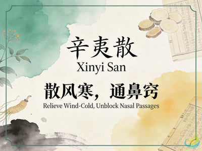 Xin Yi San: Classic TCM Formula for Nasal Congestion, Sinusitis & Wind-Cold in the Nose HJMEDICAL