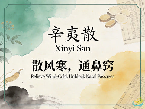 Xin Yi San: Classic TCM Formula for Nasal Congestion, Sinusitis & Wind-Cold in the Nose HJMEDICAL