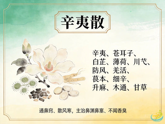 辛夷散：通鼻窍第一名方，科学调理过敏性鼻炎与慢性鼻窦炎