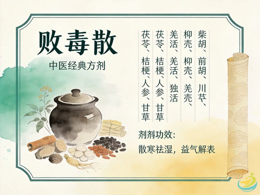败毒散：逆流挽舟第一方，科学调理体虚感冒与急性呼吸道感染