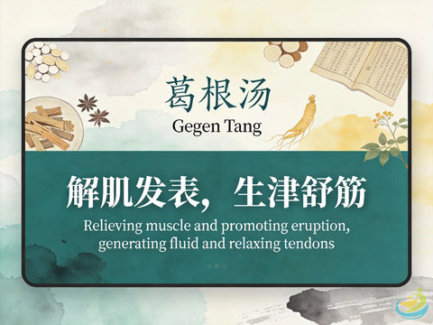 Ge Gen Tang: Classic TCM Formula for Wind-Cold with Stiff Neck & Upper Back HJMEDICAL