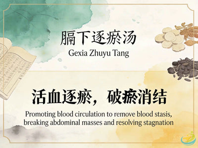 Ge Xia Zhu Yu Tang: Classic TCM Formula for Blood Stasis Below the Diaphragm & Abdominal Pain HJMEDICAL