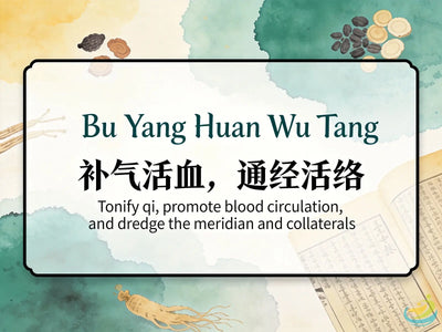 Bu Yang Huan Wu Tang: Classic TCM Formula for Qi Deficiency with Blood Stasis & Post-Stroke Sequelae HJMEDICAL