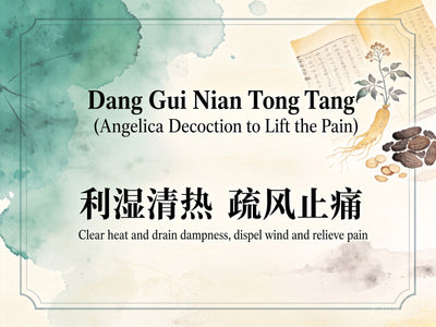 Dang Gui Nian Tong Tang