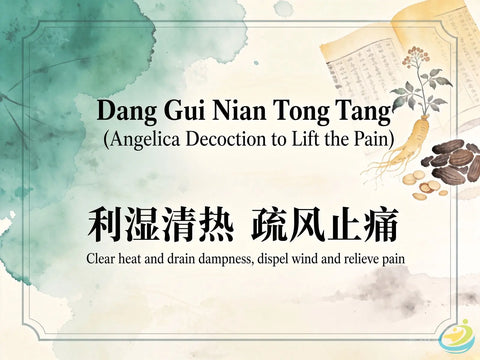 Dang Gui Nian Tong Tang: Classic TCM Formula for Damp-Heat Bi Syndrome, Joint Pain & Swelling HJMEDICAL