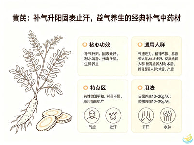 Huang Qi (Astragalus): The Foremost TCM Qi-Supplementing Herb for Consolidating Wei-Qi, Stopping Sweating and Raising Yang HJMEDICAL