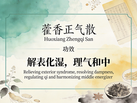 Huo Xiang Zheng Qi San