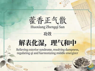 Huo Xiang Zheng Qi San: Classic TCM Formula for Summer-Heat, Dampness & Gastrointestinal Upset HJMEDICAL