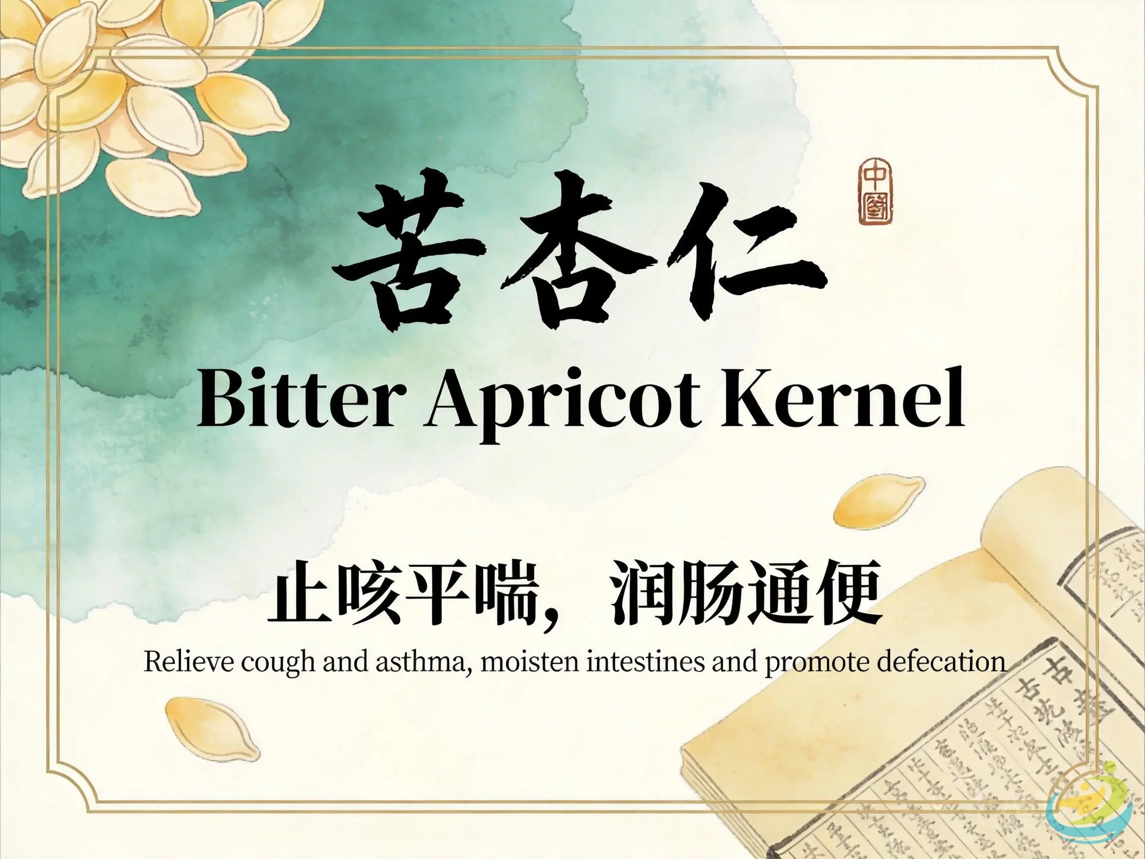 Ku Xing Ren (Bitter Apricot Kernel): Descend Qi, Stop Cough, and Moisten the Intestines