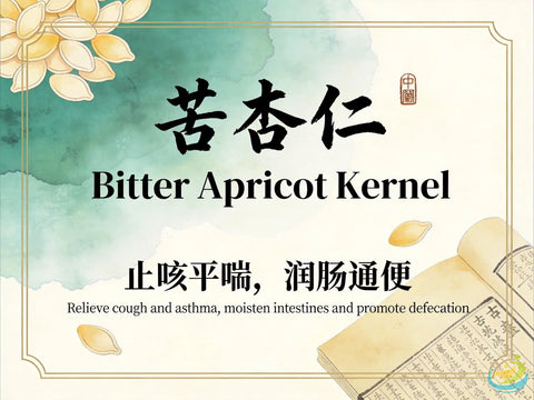 Ku Xing Ren (Bitter Apricot Kernel): Descend Qi, Stop Cough, and Moisten the Intestines