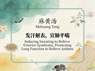 Ma Huang Tang: Classic TCM Formula for Exterior Wind-Cold Excess & No Sweating HJMEDICAL