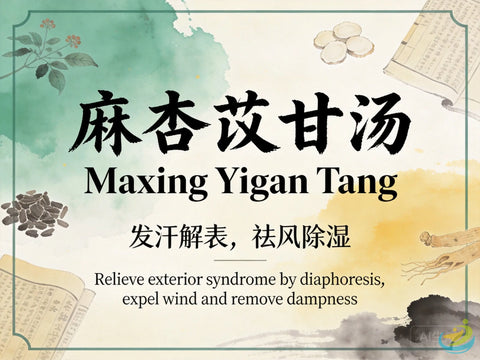 Ma Xing Yi Gan Tang