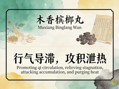 Mu Xiang Bing Lang Wan: Classic TCM Formula for Food Stagnation, Qi Stagnation & Damp-Heat HJMEDICAL