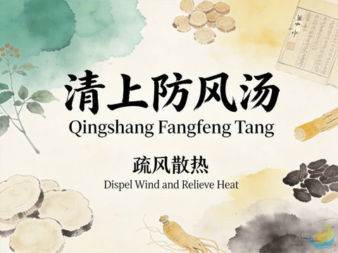 Qing Shang Fang Feng Tang