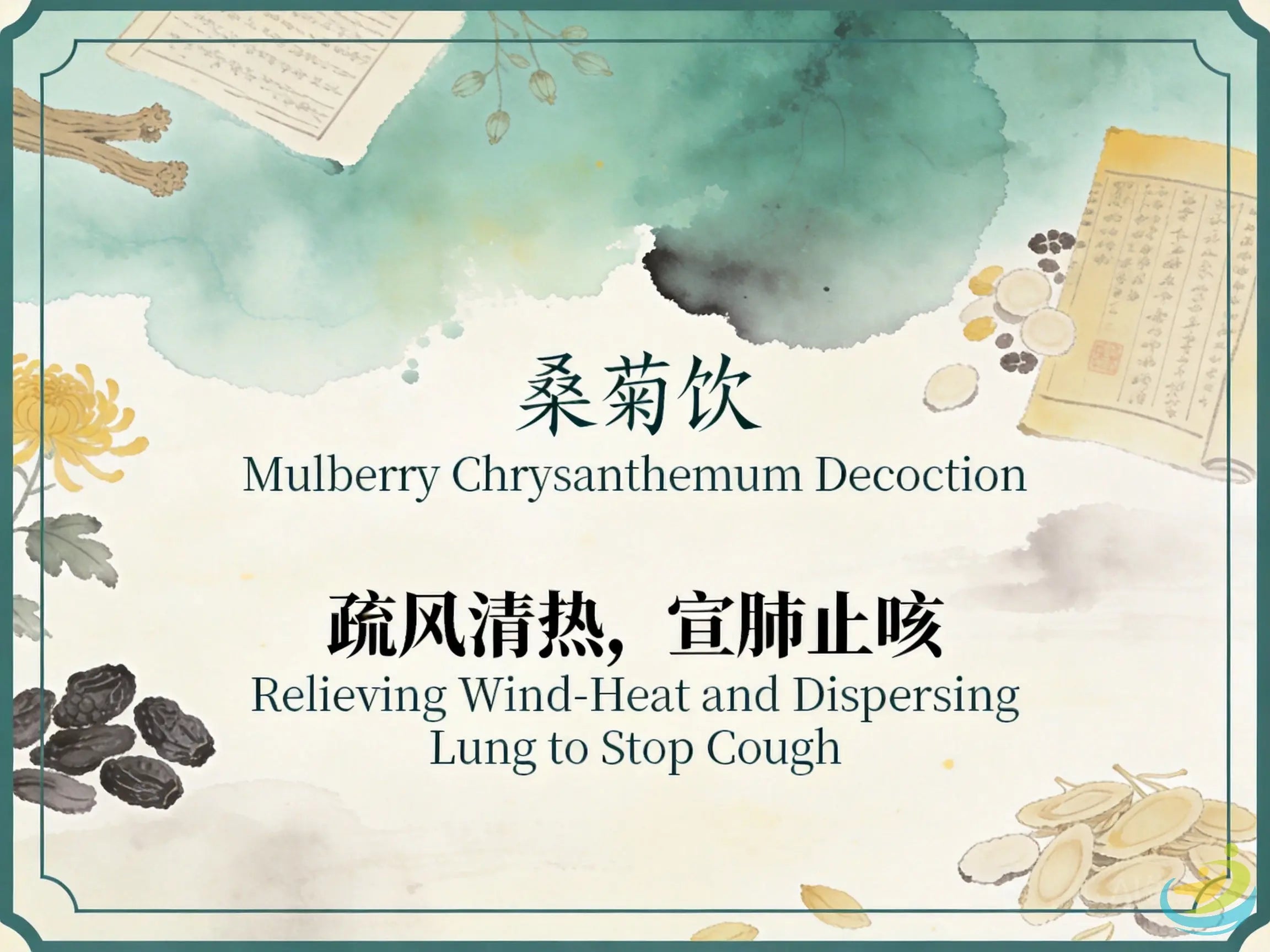 Sang Ju Yin: Dispelling Wind-Heat and Diffusing Lung Qi to Relieve Early Coughs and Sore Throats HJMEDICAL