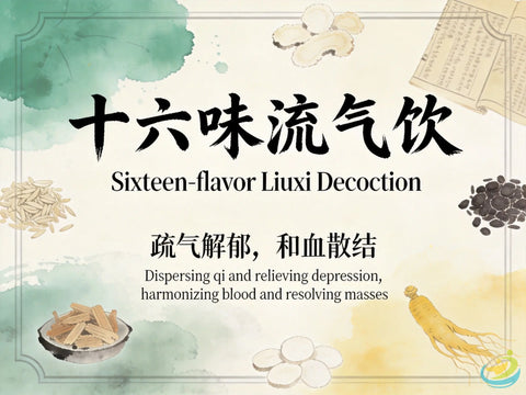 Shi Liu Wei Liu Qi Yin