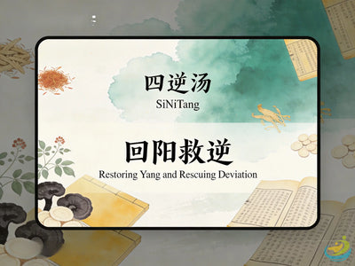 Si Ni Tang: Classic TCM Formula for Yang Collapse, Cold Extremities & Shock HJMEDICAL