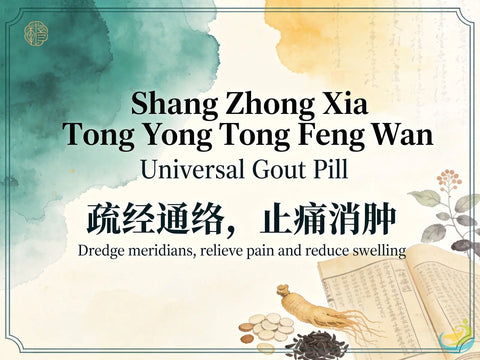 Shang Zhong Xia Tong Yong Tong Feng Wan: Classic TCM Formula for Gout, Wind-Damp Bi & Joint Pain HJMEDICAL