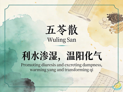 Wu Ling San: Classic TCM Formula for Water Retention, Edema & Urinary Difficulty HJMEDICAL