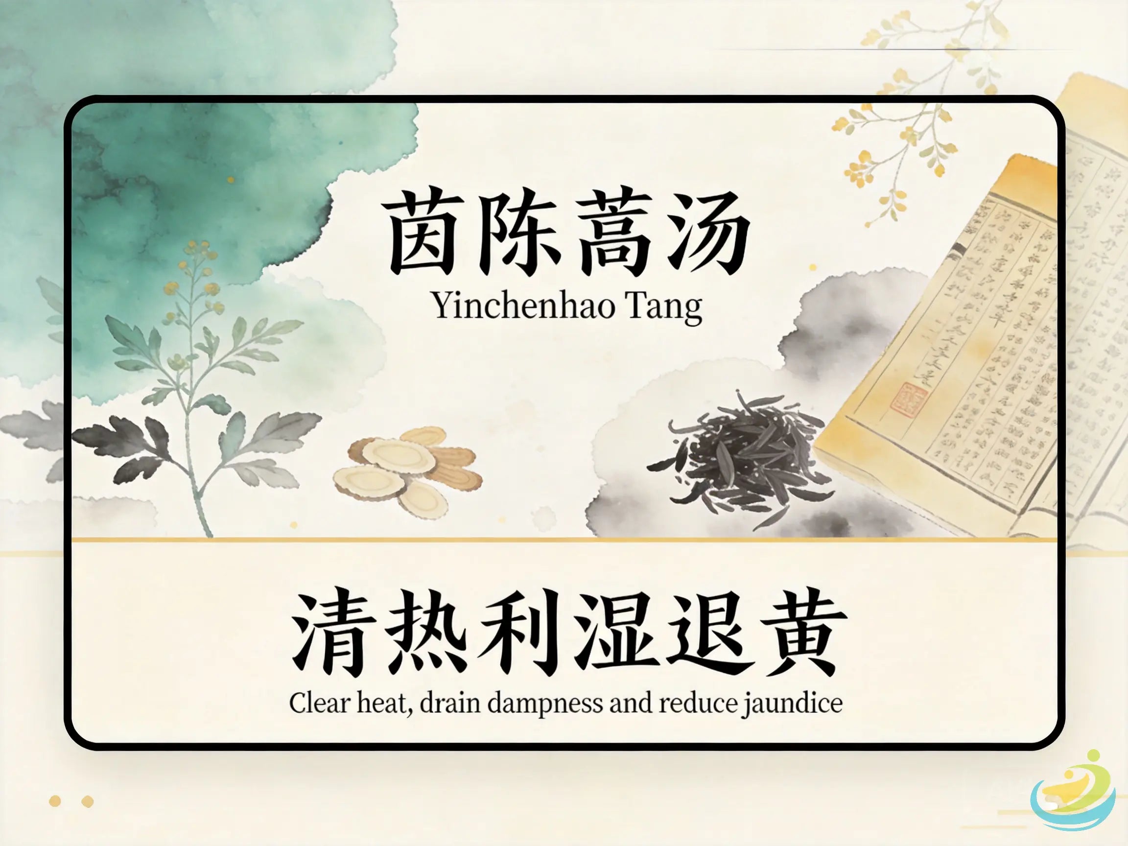 Yin Chen Hao Tang: Classic TCM Formula for Damp-Heat Jaundice & Liver-Gallbladder Issues HJMEDICAL