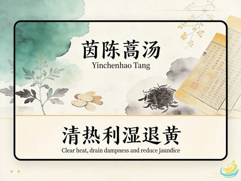 Yin Chen Hao Tang: Classic TCM Formula for Damp-Heat Jaundice & Liver-Gallbladder Issues HJMEDICAL