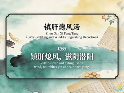 Zhen Gan Xi Feng Tang: Classic TCM Formula for Liver Wind, Hypertension & Dizziness HJMEDICAL