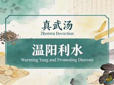 Zhen Wu Tang: Classic TCM Formula for Kidney Yang Deficiency, Edema & Water Retention HJMEDICAL