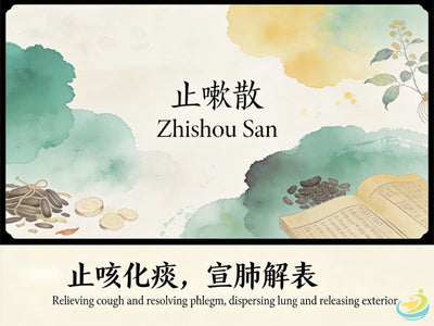Zhi Sou San: Classic TCM Formula for Persistent Cough after Exterior Invasion HJMEDICAL