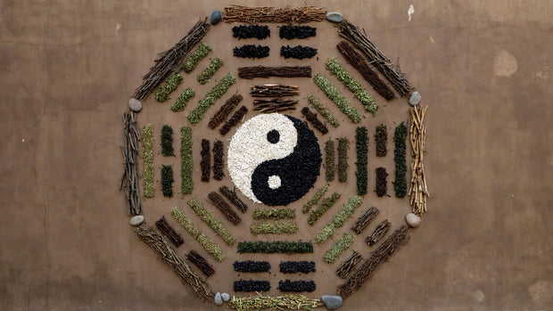 Banner image for: <h3>中医与五行</h3>